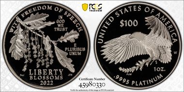2022-W $100 Freedom of Speech PR69DCAM