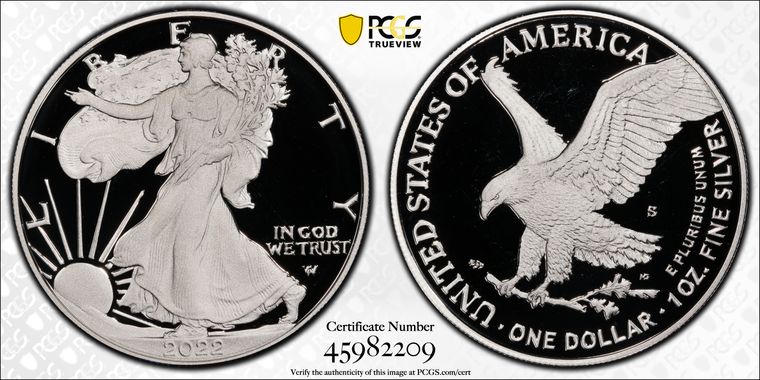 Cert 45982209 - Coin Image