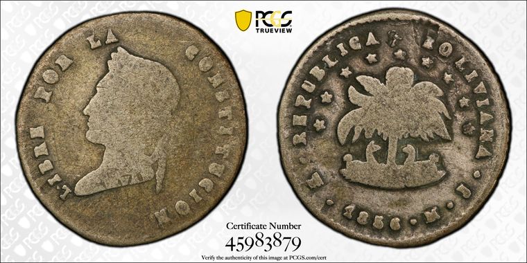 Cert 45983879 - Coin Image