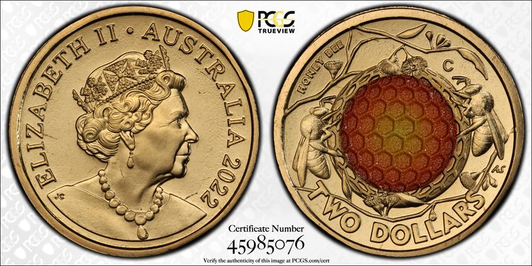 Cert 45985076 - Coin Image