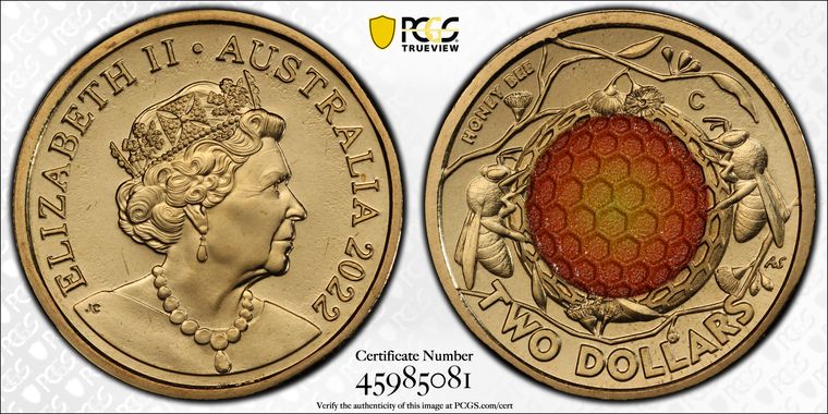 Cert 45985081 - Coin Image