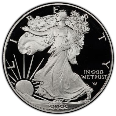 Cert 45985349 - Coin Image