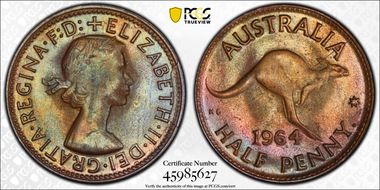 1964 Y. (p) 1/2D MS65BN