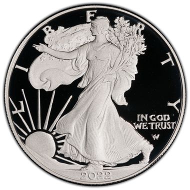 Cert 45988735 - Coin Image