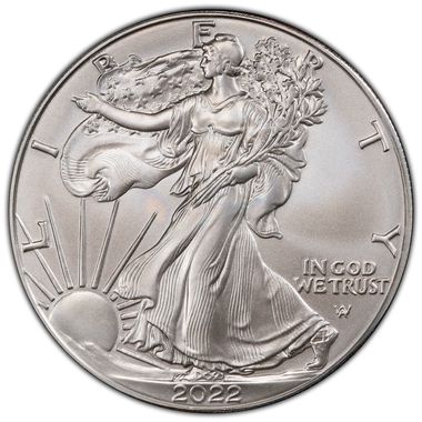 Cert 45991193 - Coin Image