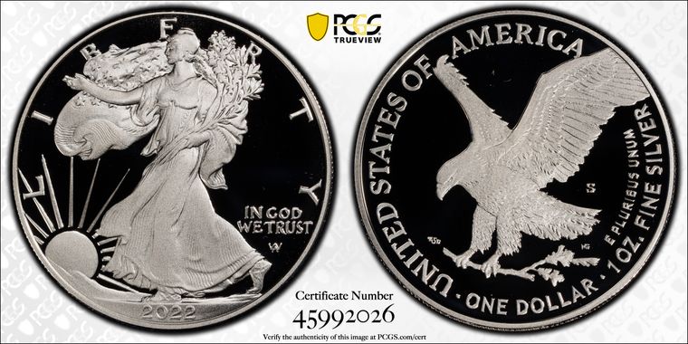 Cert 45992026 - Coin Image