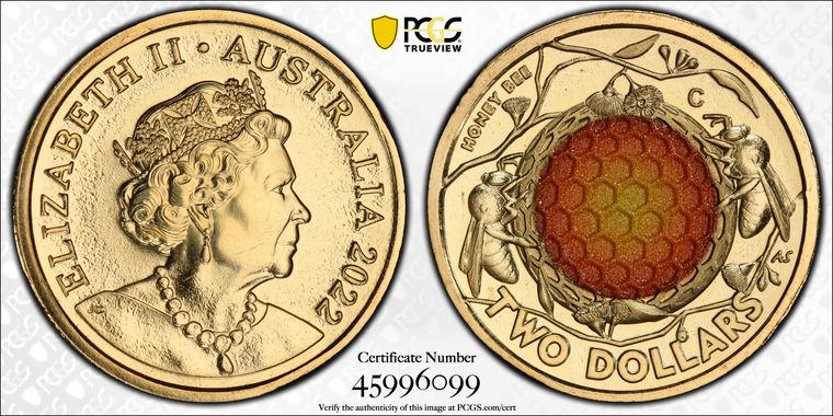 Cert 45996099 - Coin Image