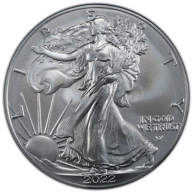 Cert 46025101 - Coin Image