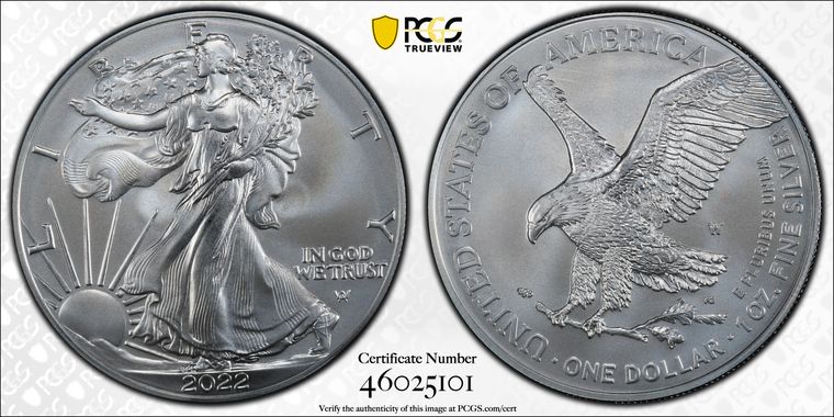 Cert 46025101 - Coin Image