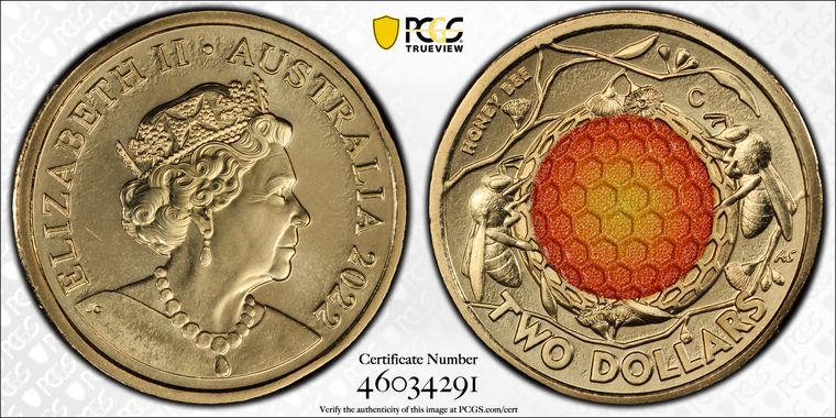 Cert 46034291 - Coin Image