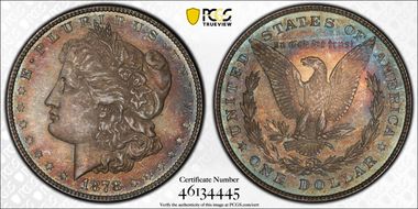 1878 8TF $1 VAM 8, Stick Feather MS64