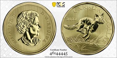 2022 $1 Swift Fox SP70