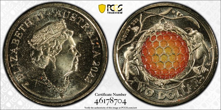 Cert 46178704 - Coin Image