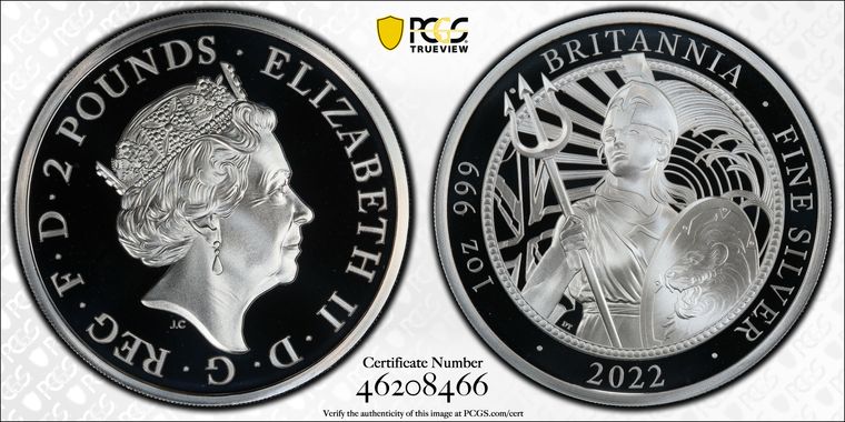 Cert 46208466 - Coin Image