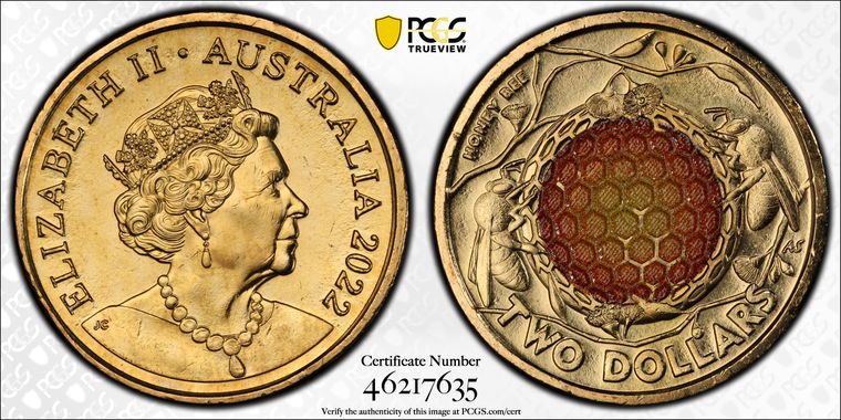 Cert 46217635 - Coin Image