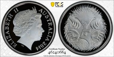 2014 5C Silver PR69DCAM