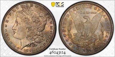 1891-S $1 MS63