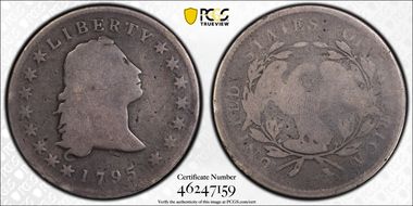 1795 $1 Flowing Hair, 3 Leaves AG3