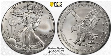 2022-W $1 Burnished Silver Eagle SP69