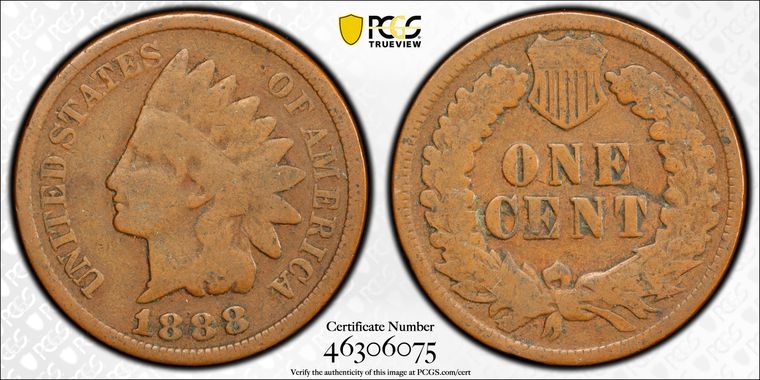 Cert 46306075 - Coin Image