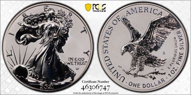 2021-S $1 Silver Eagle Rev PR - Type 2 Designer Edition PR69