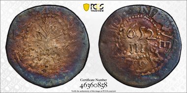 1652 3P Oak Tree, Noe-27 N1