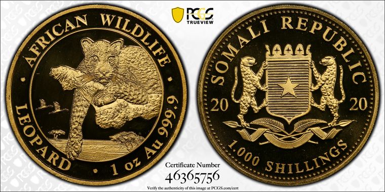 Cert 46365756 - Coin Image