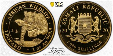 2020 1000 S Leopard African Wildlife MS69