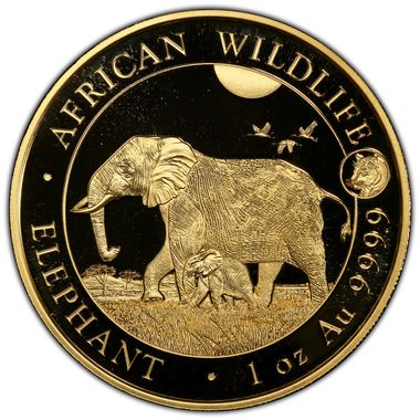 Cert 46365757 - Coin Image