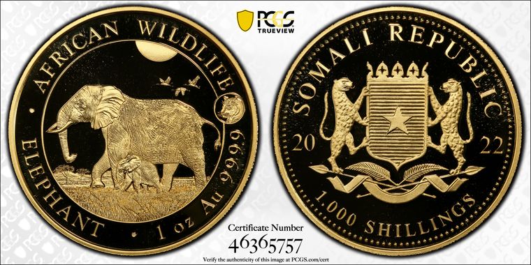 Cert 46365757 - Coin Image