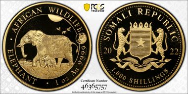 2022 1000 S African Elephant Au Tiger Privy MS69