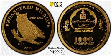 2005 1000 T Eagle Owl PR68DCAM