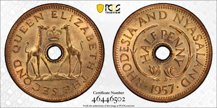 Cert 46446502 - Coin Image