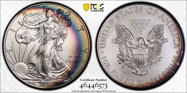 2013-W $1 Burnished Silver Eagle SP69