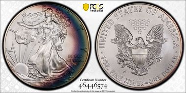 2013-W $1 Burnished Silver Eagle SP69
