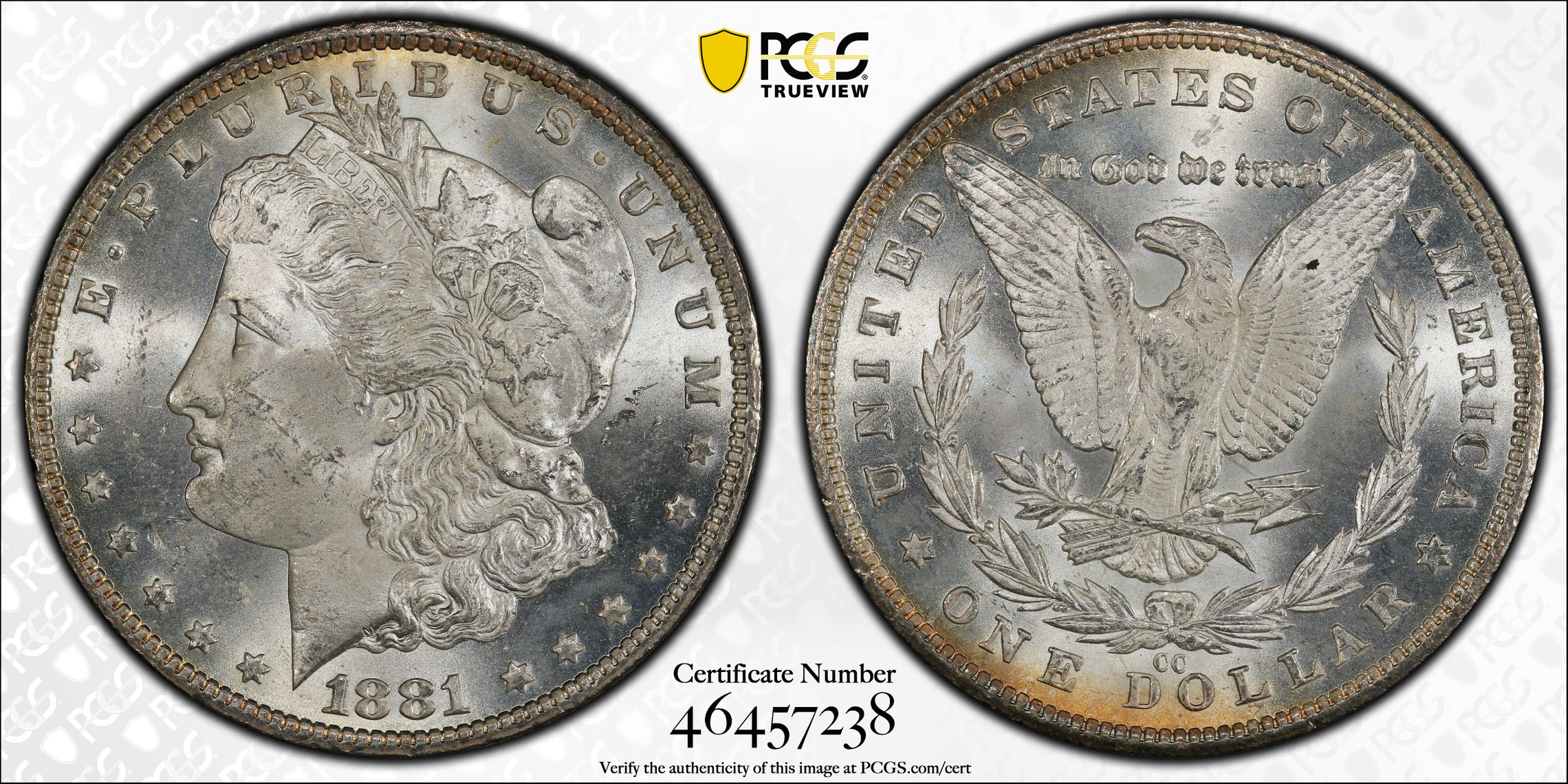PCGS Certificate Verification Coin Details for Cert #46457238