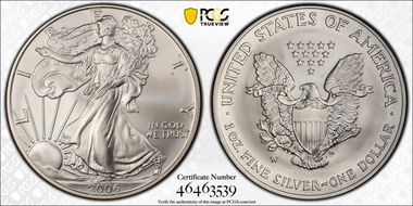 2006-W $1 Burnished Silver Eagle SP69