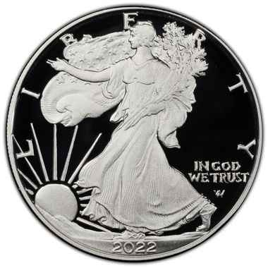 Cert 46480481 - Coin Image