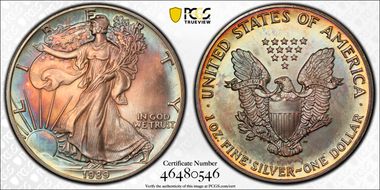 1989 $1 Silver Eagle MS66