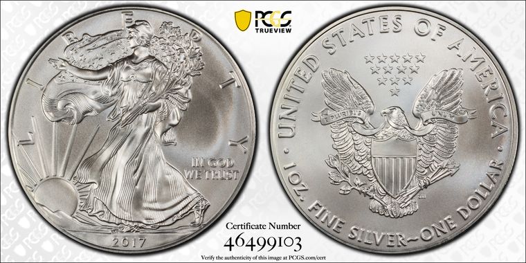 Cert 46499103 - Coin Image