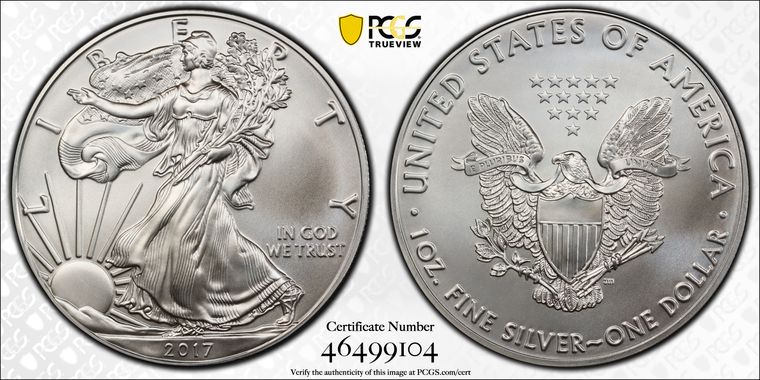 Cert 46499104 - Coin Image