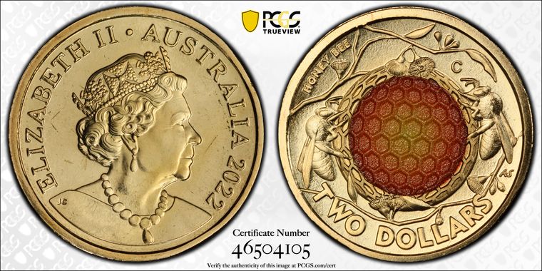 Cert 46504105 - Coin Image