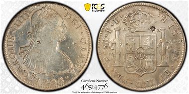 1798-PTS PP 8 R Calico-1002 N1