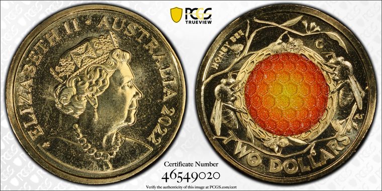 Cert 46549020 - Coin Image