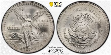 1991-Mo Onza Libertad Ag T1 - PLATA PURA MS69