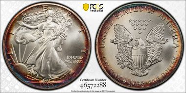 1989 $1 Silver Eagle MS69