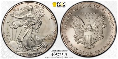 1996 $1 Silver Eagle N1