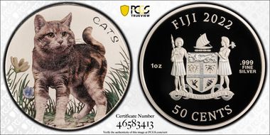 2022 50C Cats - Colorized MS70