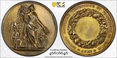 (1880-DT) Medal Aube Vineyard and Forest Horticultural Society Ag SP1