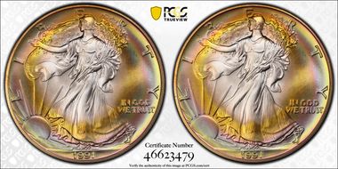 1991 $1 Silver Eagle MS69